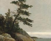 约翰 冯检基 肯西特 : The Old Pine Darien Connecticut